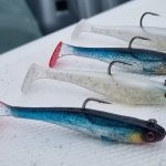 Apex Minnow Lures Image