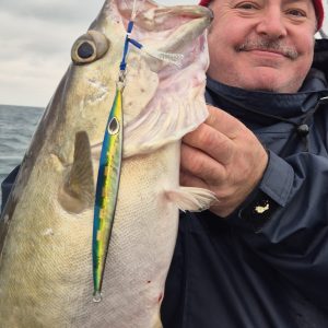 A nice pollock on the JOKER Cobra jig
