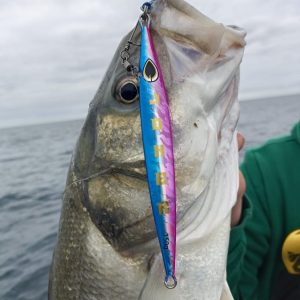 JOKER Cobra Blue and Pink 150g