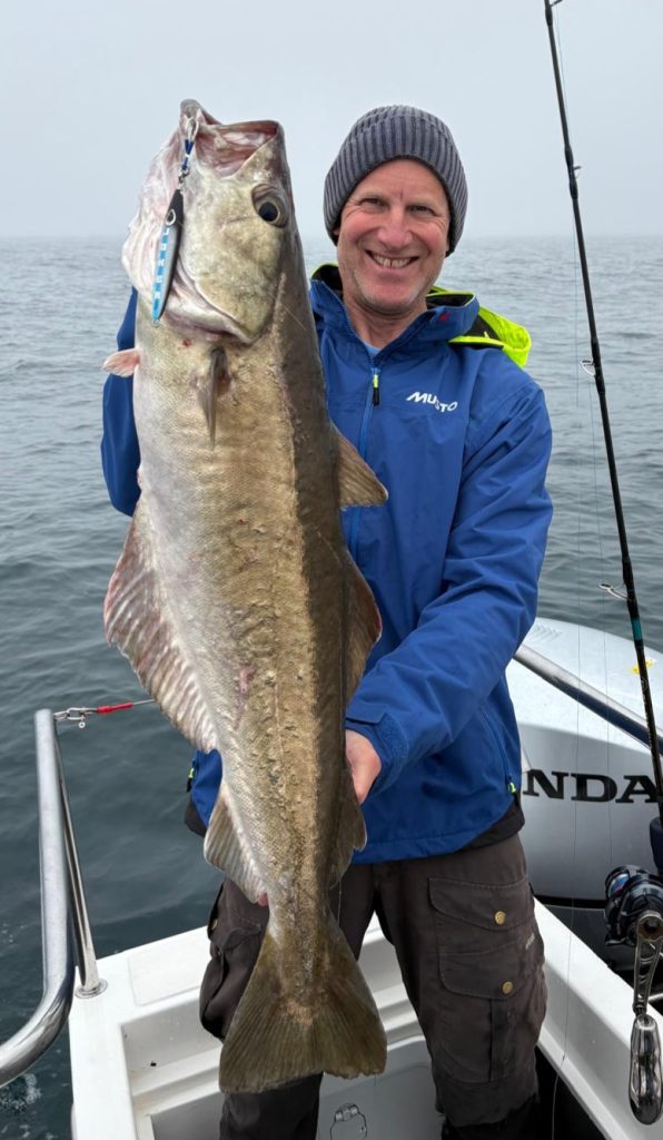 14lb 8oz pollack caught on the JOKER Orca